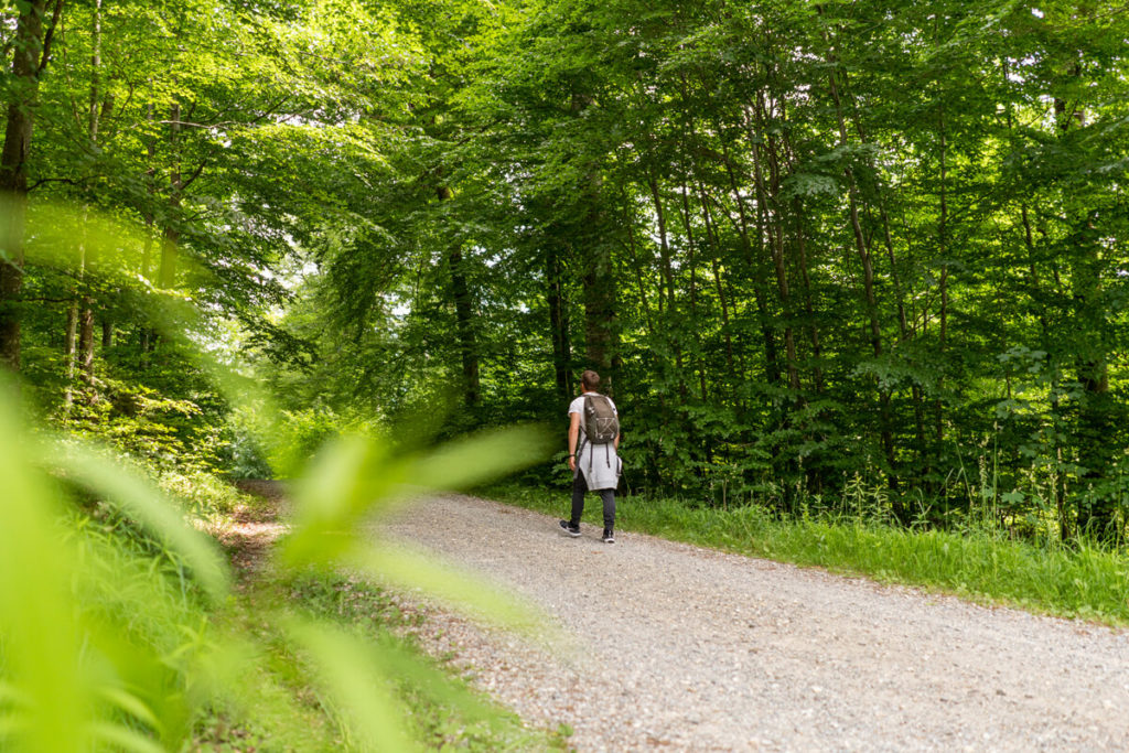 Prälatenweg Bodensee