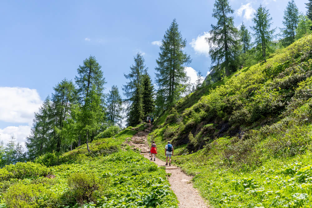 Urlaub-im-Pillerseetal-Bike-Hike-Tour-3