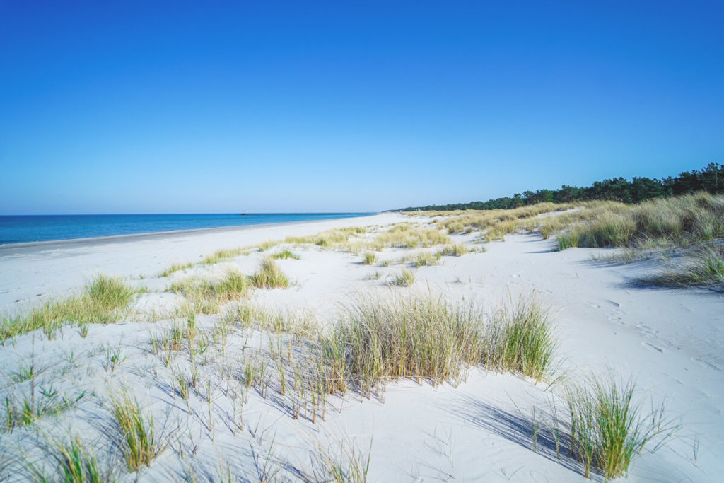 Urlaubsort-Ostsee-Prerow-Strand