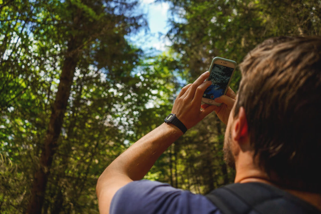 Wald Wanderung Hinterhemrsdorf Blauer Pfad Kirnitzschtal