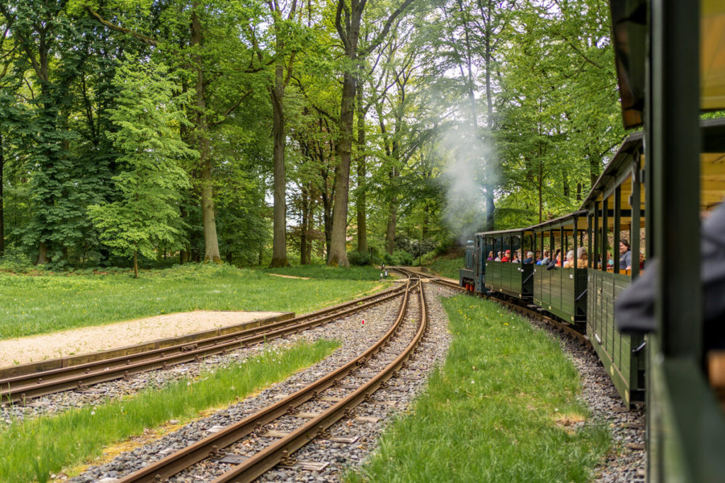 Waldeisenbahn Muskau Oberlausitz