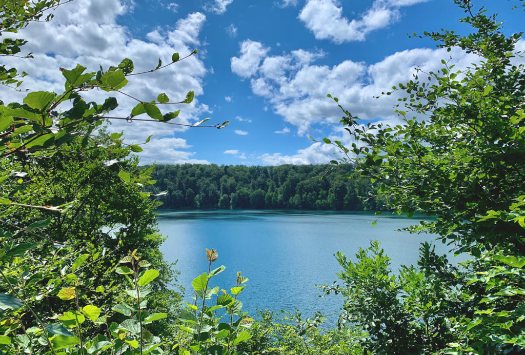 Wandern-Eifel-Tipps-See-Wald