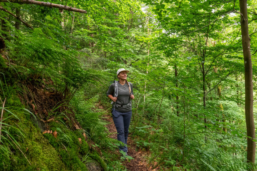 Auf Jägersteigen Frankenwald hike