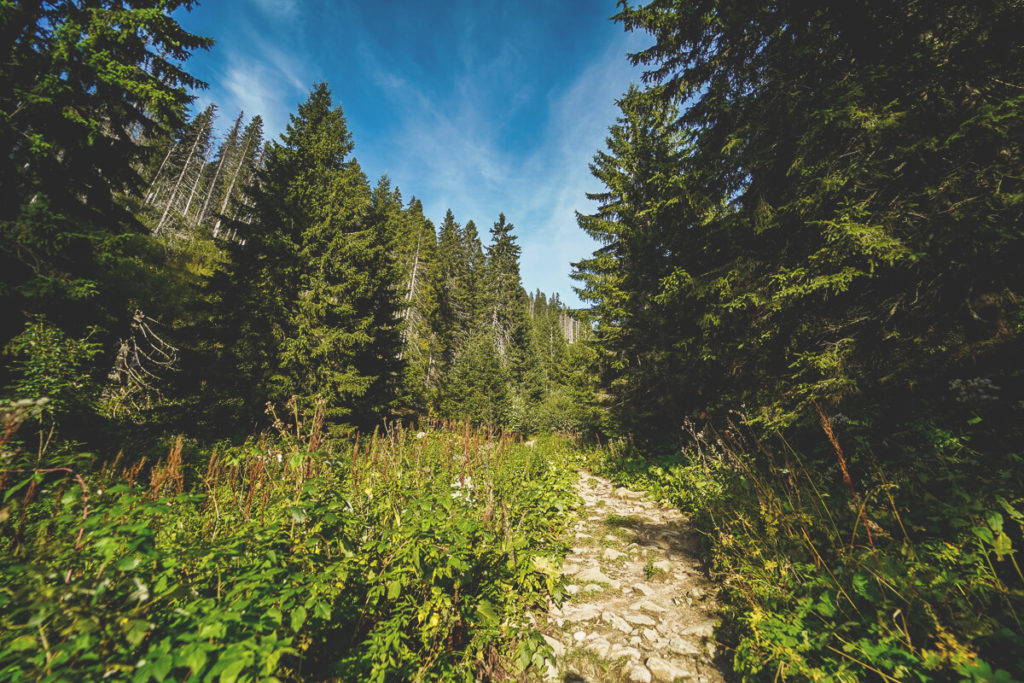 Wanderung-Dumbier-Niedere-Tatra-Abstieg
