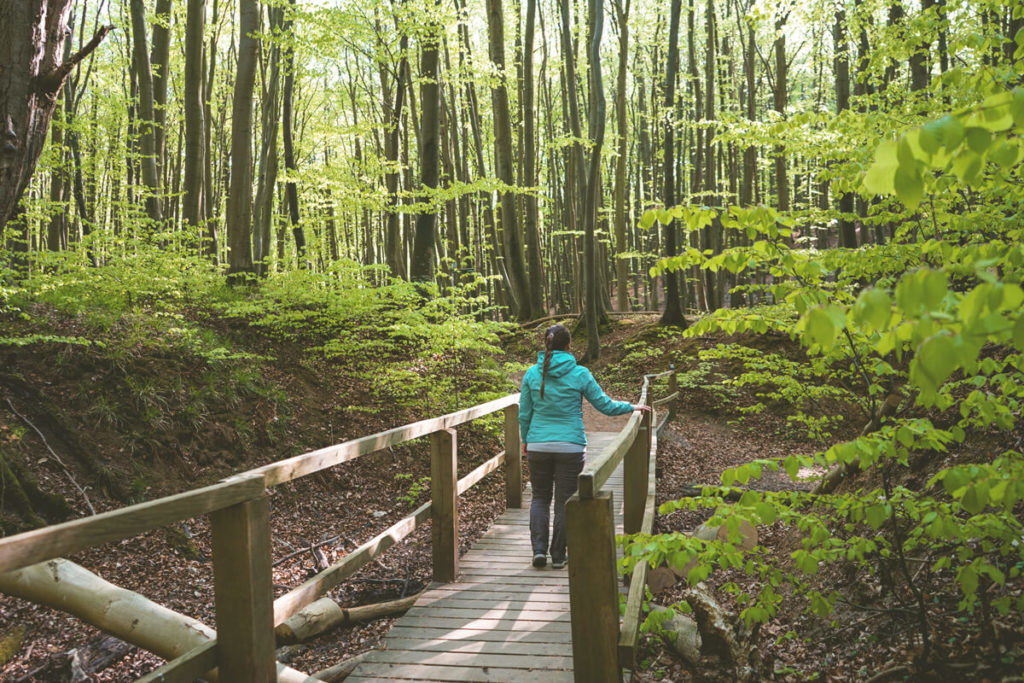 Wanderung-Jasmund-Nationalpark-Insel-Ruegen