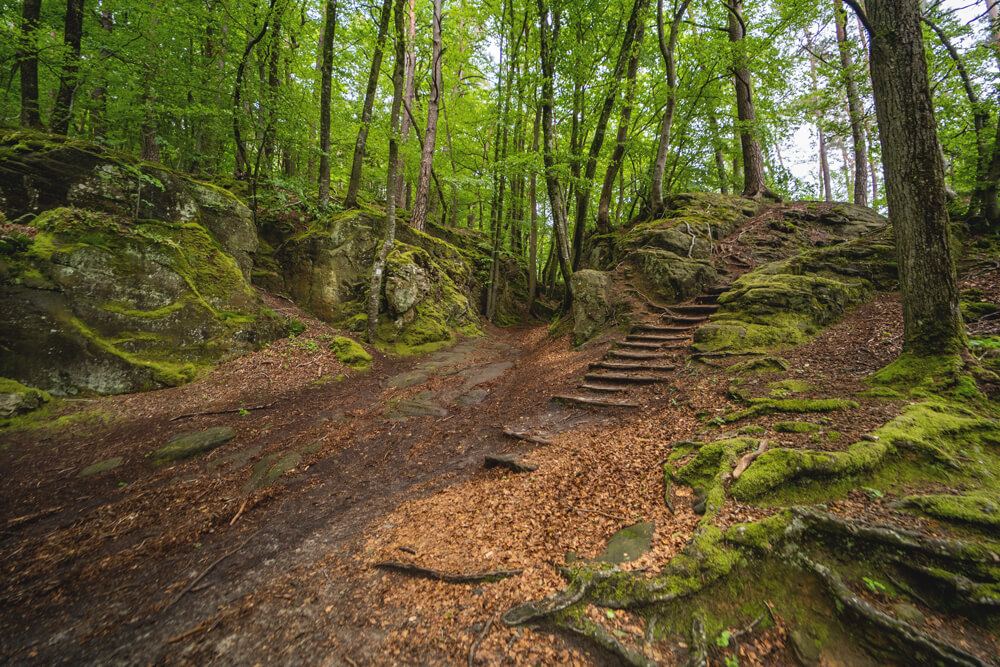 Wanderung-Muellerthal-Luxemburgische-Schweiz