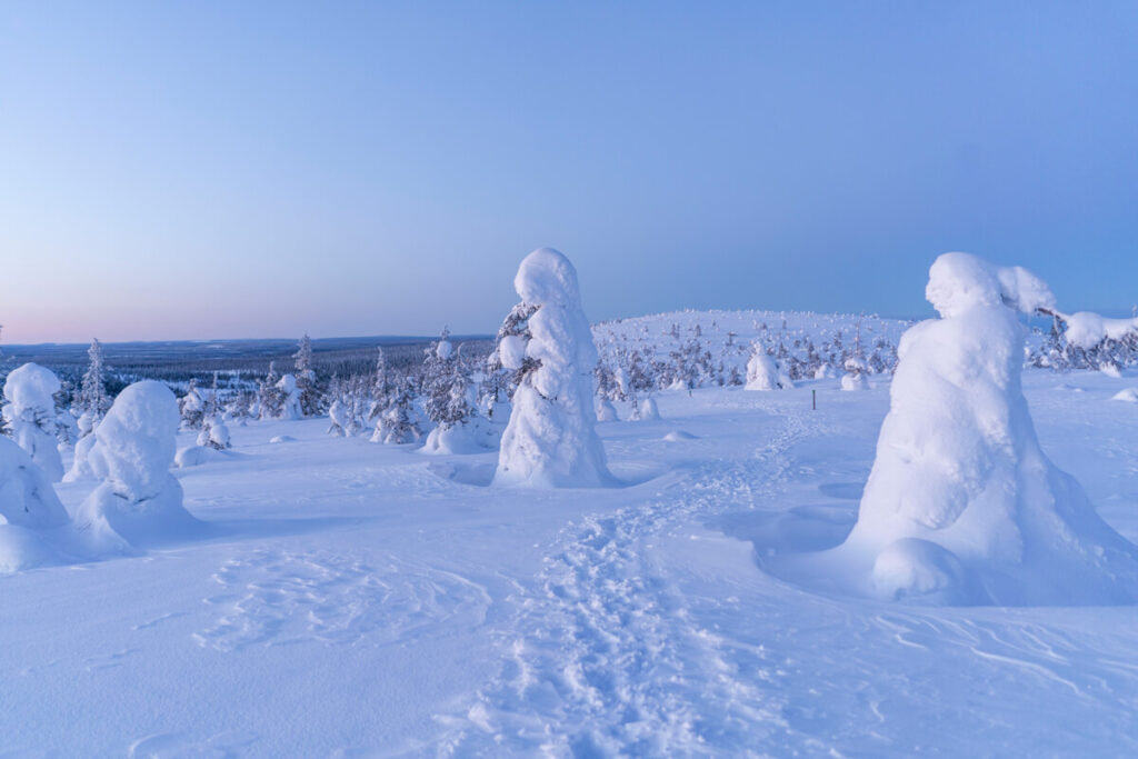 Winter hike Riisitunturi National Park