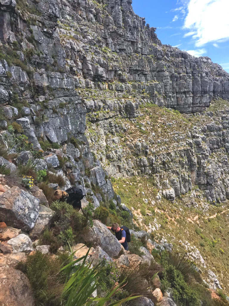 Wanderung-Tafelberg-India-Venster-Route-3