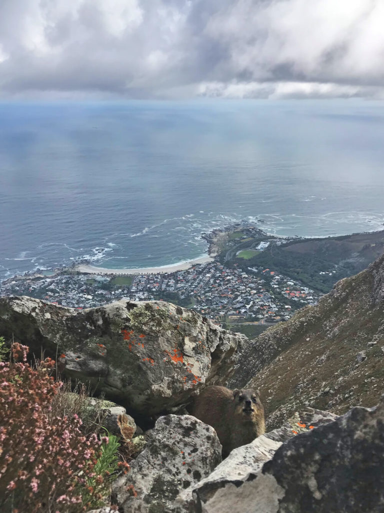 Wanderung-Tafelberg-India-Vester-Route-4
