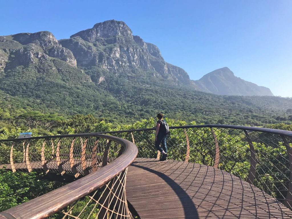 Kirstenbosch-Botanical-Garden Cape Town Bridge