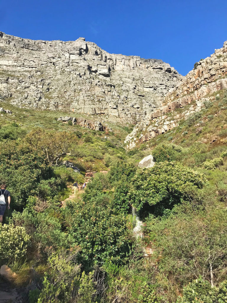 Wanderung-Tafelberg-Platteklip-Gorge-1