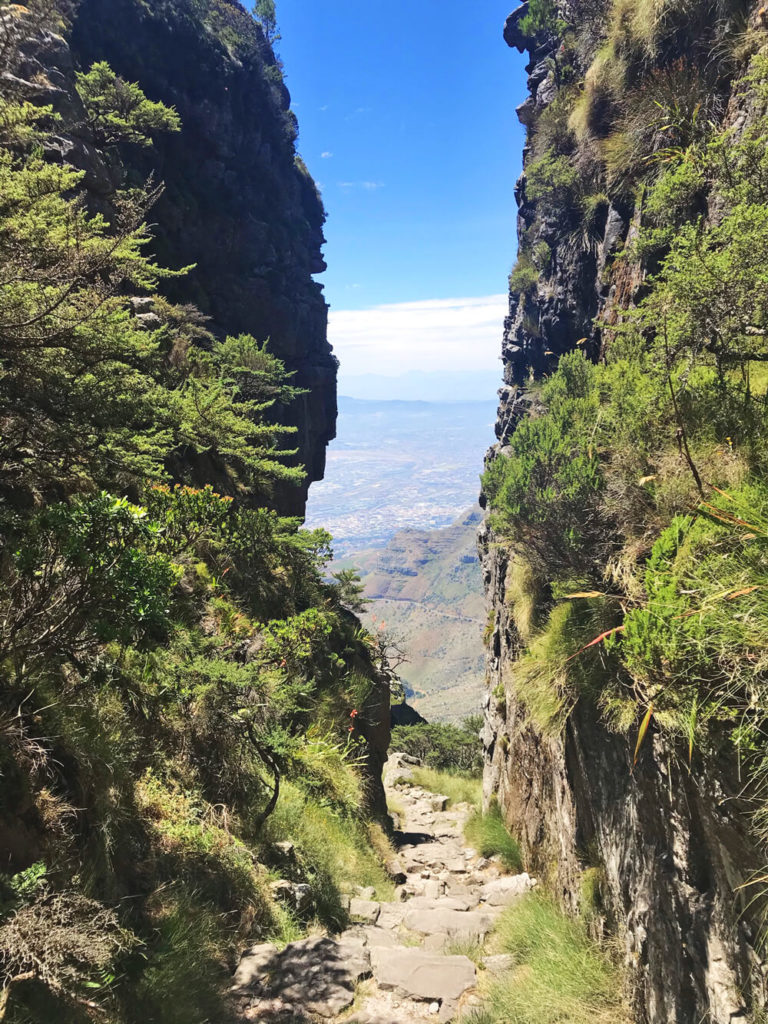 Wanderung-Tafelberg-Platteklip-Gorge-Schlucht