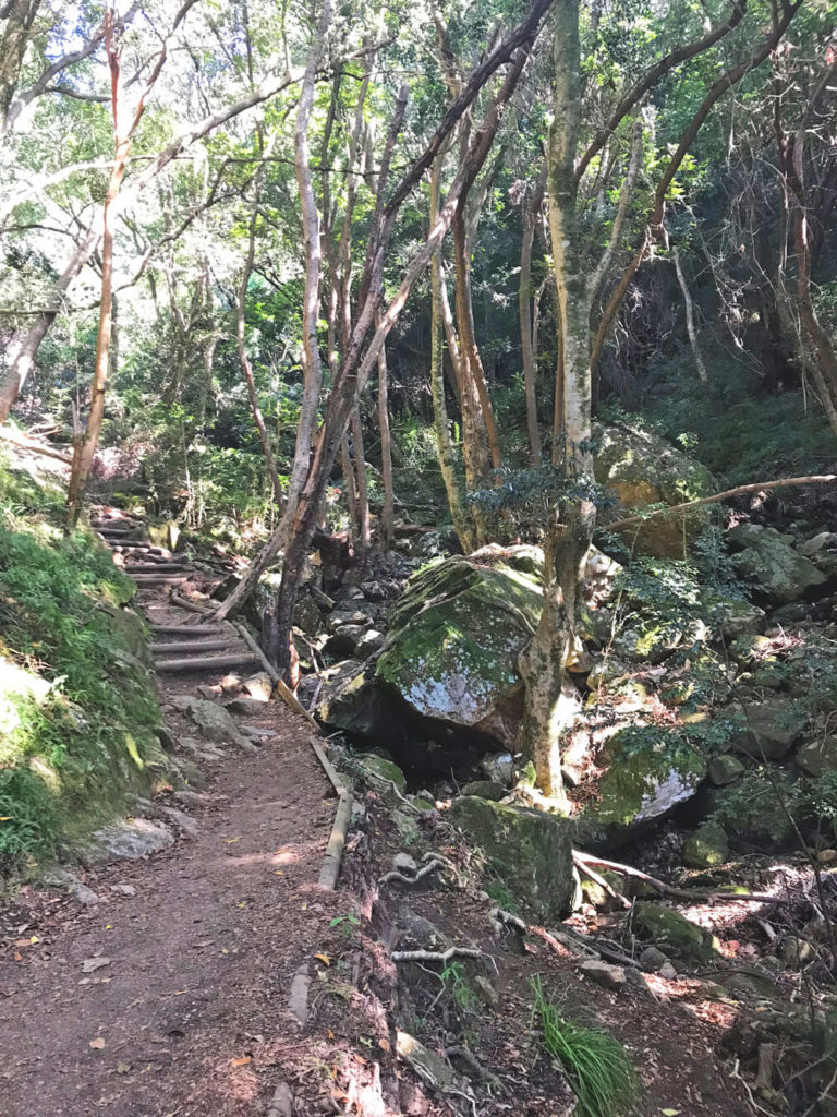 Skeleton-Gorge-Trail