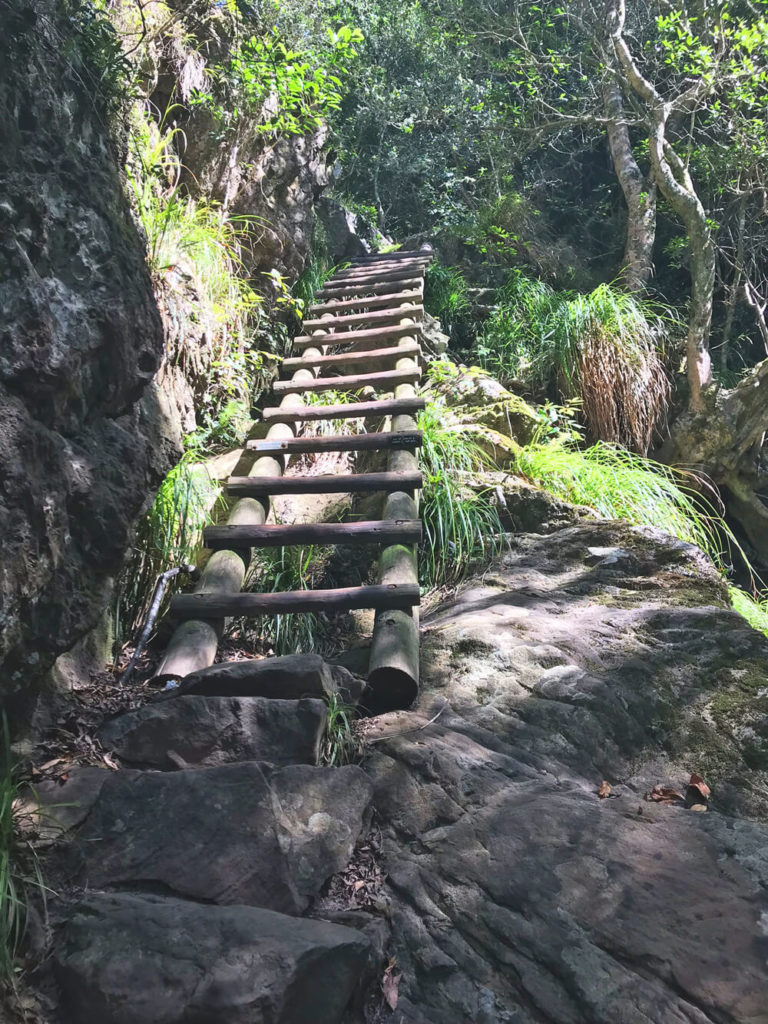 Skeleton-Gorge-Trail