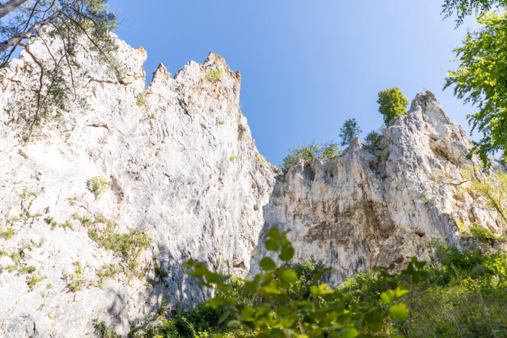 Eiszeitjägerpfad Blaubeuren