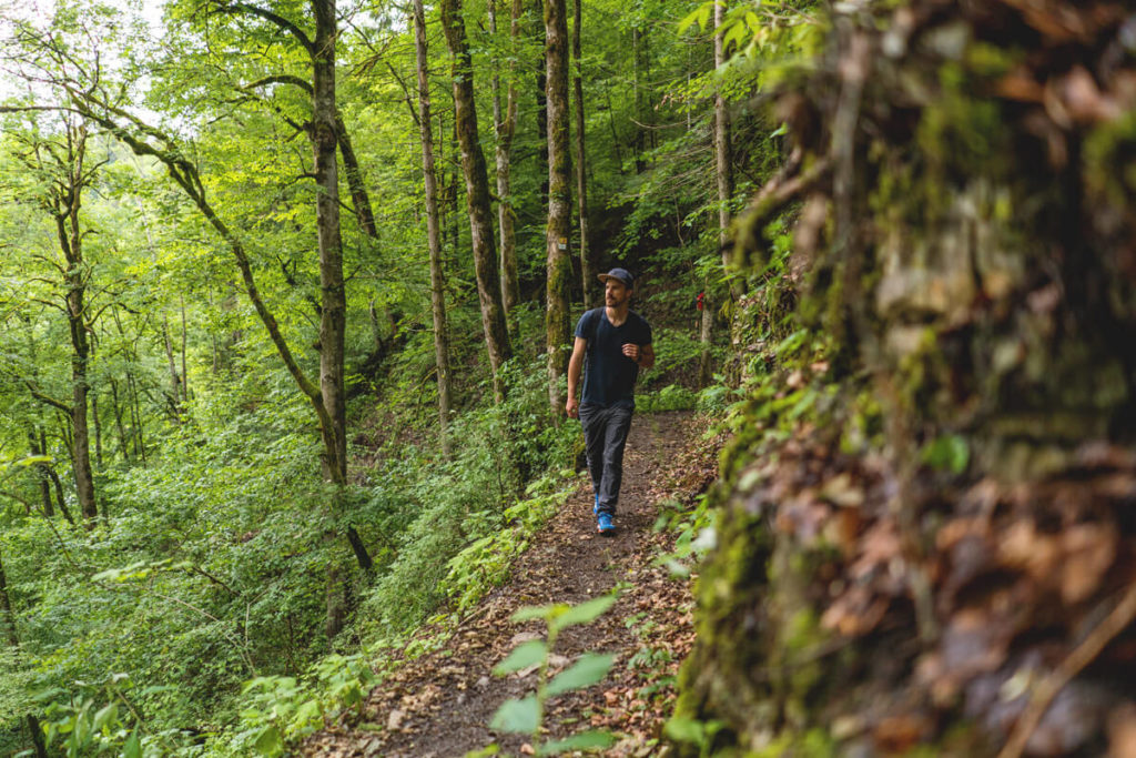 Wanderweg-Wutachschlucht-Highlights-Schwarzwald
