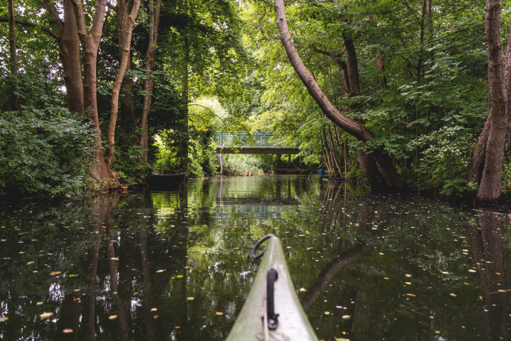Wasserwanderung-Brandenburg-Lychen-Treibholz