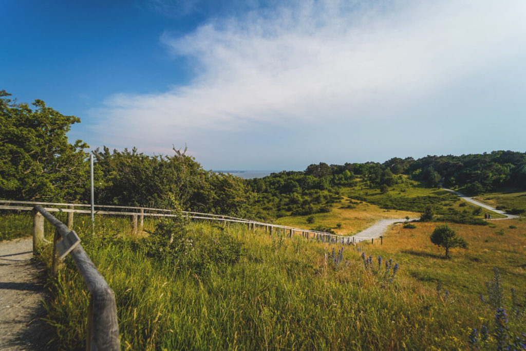 Weg-zum-Leuchtturm-Dornbusch-Insel-Hiddensee