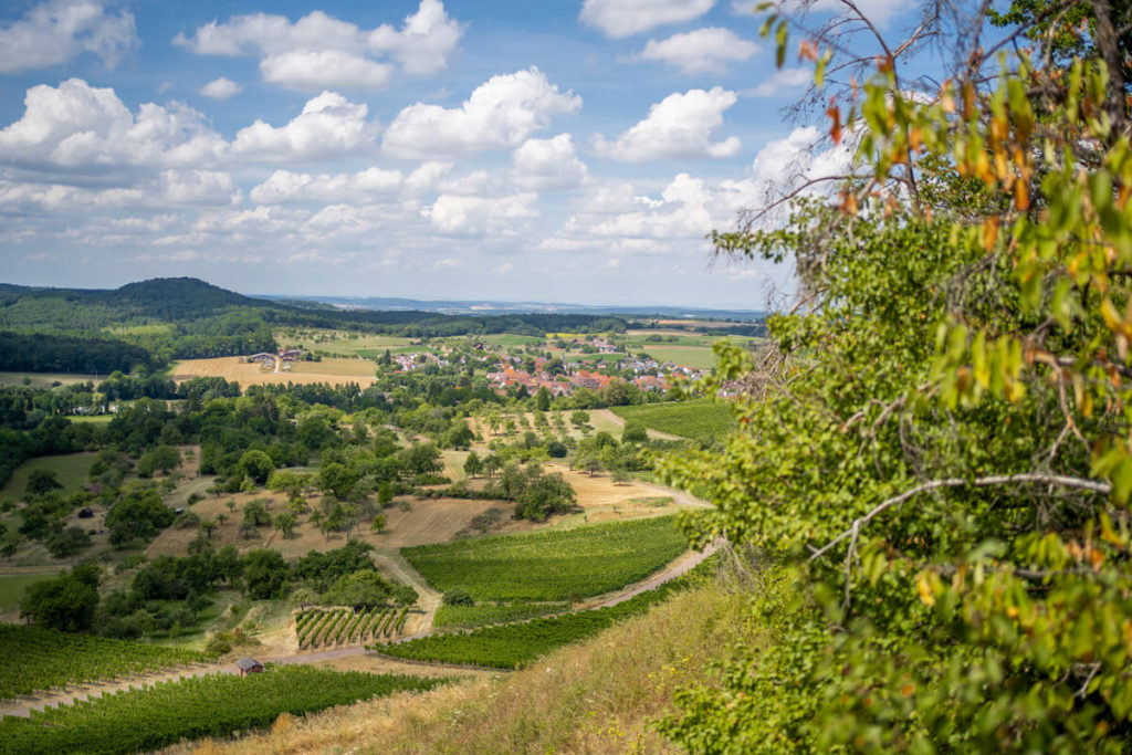 Weingut-Haeussermann-Picknick-Weinberge_3