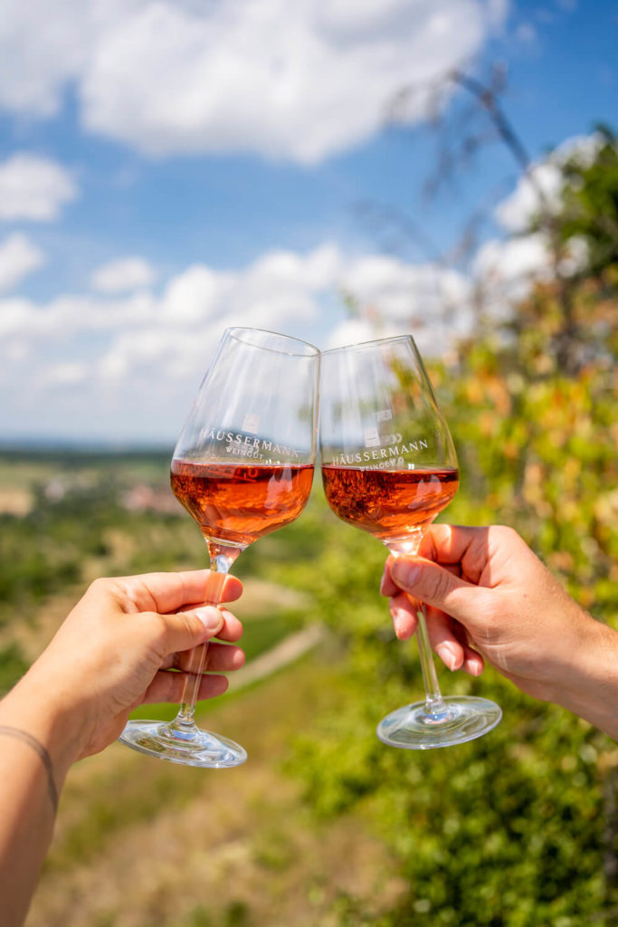 Weingut-Haeussermann-Picknick-Weinberge_5