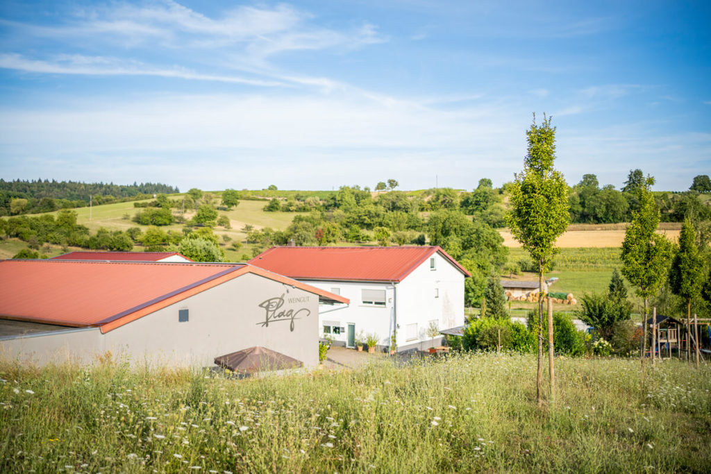 Weingut-Plag-Kuernbach
