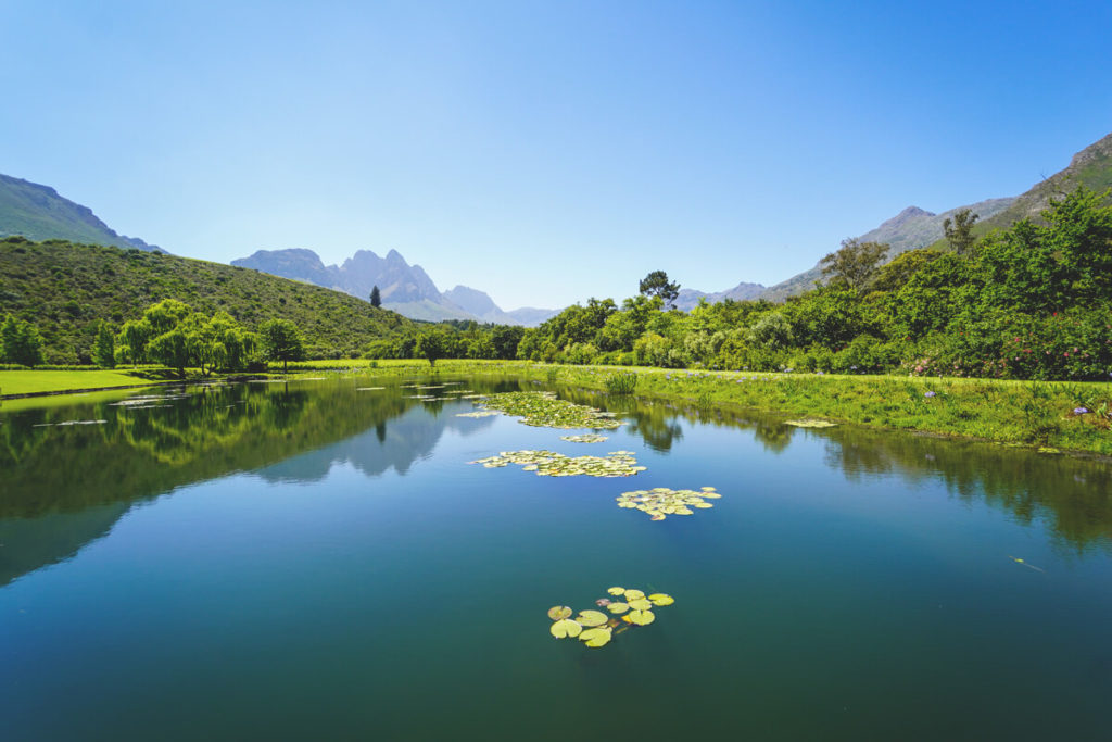 Weingut-Stark-Conde-Wines-See-Winelands-Suedafrika