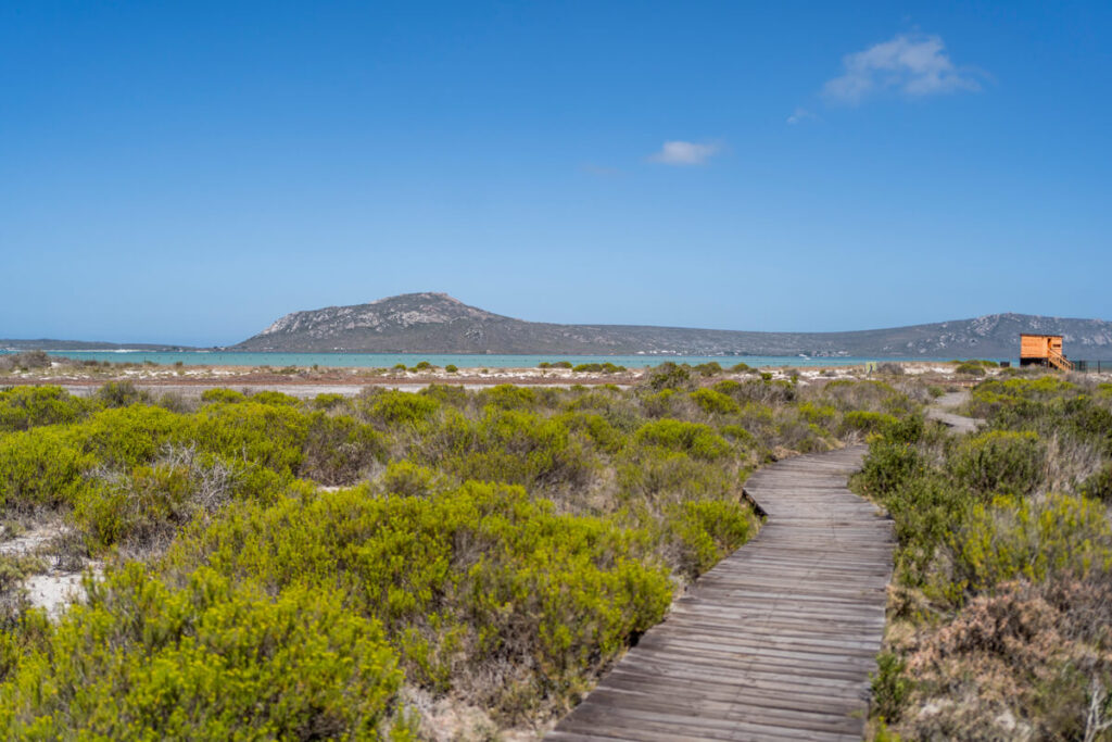 West Coast National Park bird watching hut