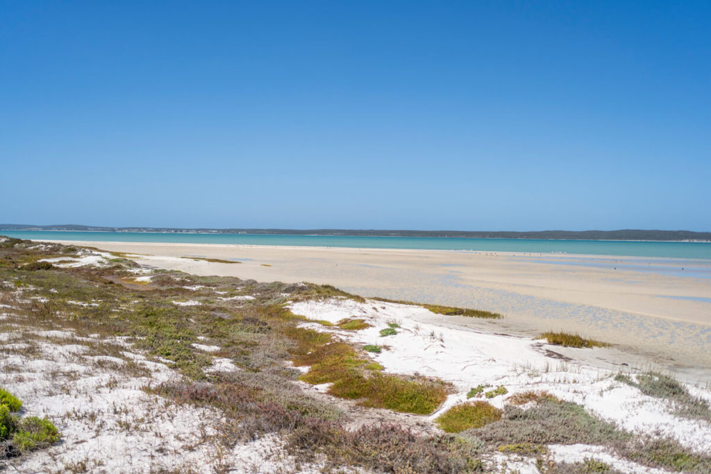 West Coast National Park South Africa