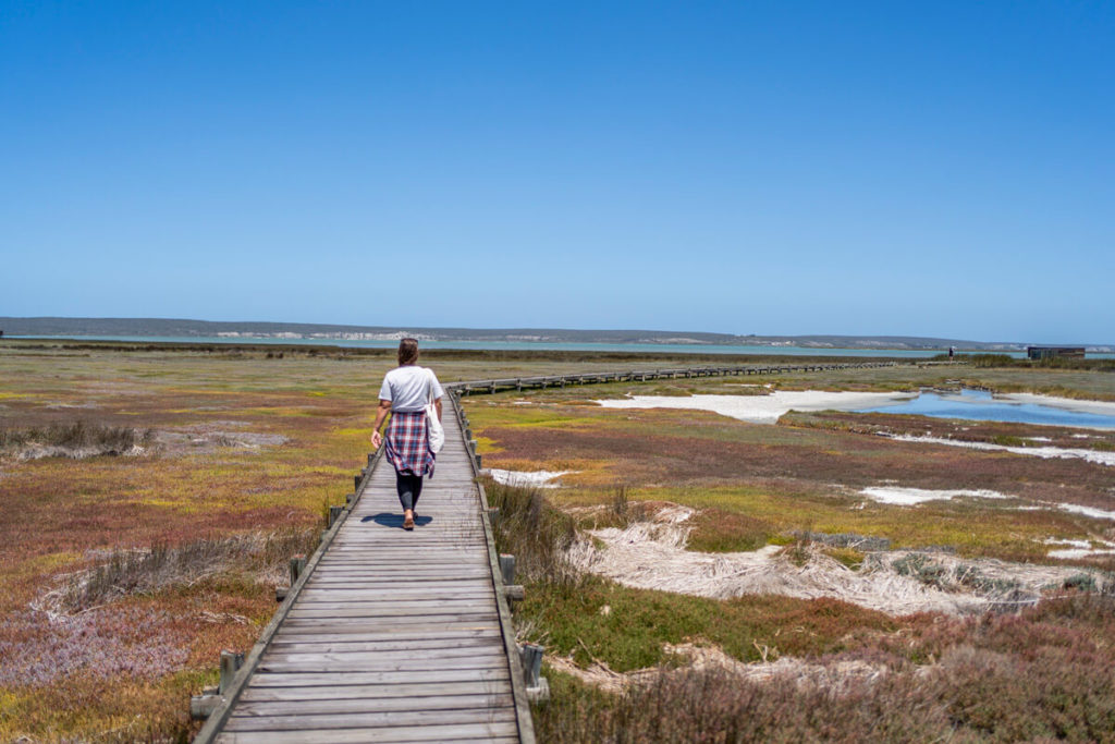 West Coast National Park South Africa