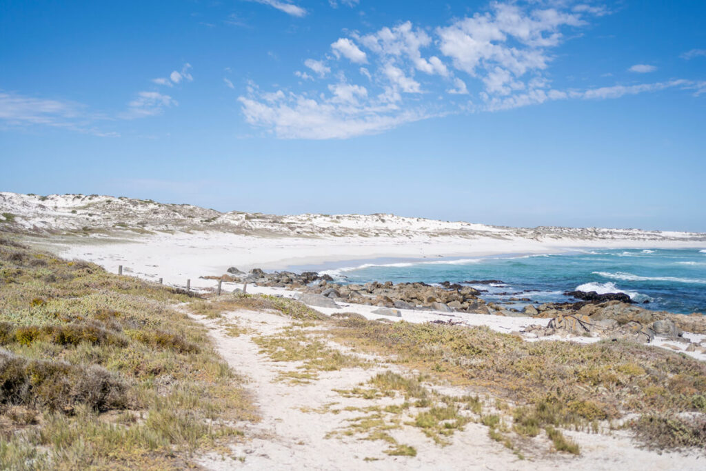 West Coast National Park Tsaarbank