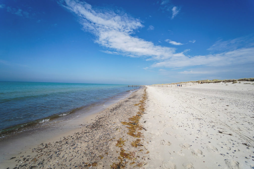 Weststrand-Ostsee-Nationalpark-Vorpommersche-Boddenlandschaft-Fischland