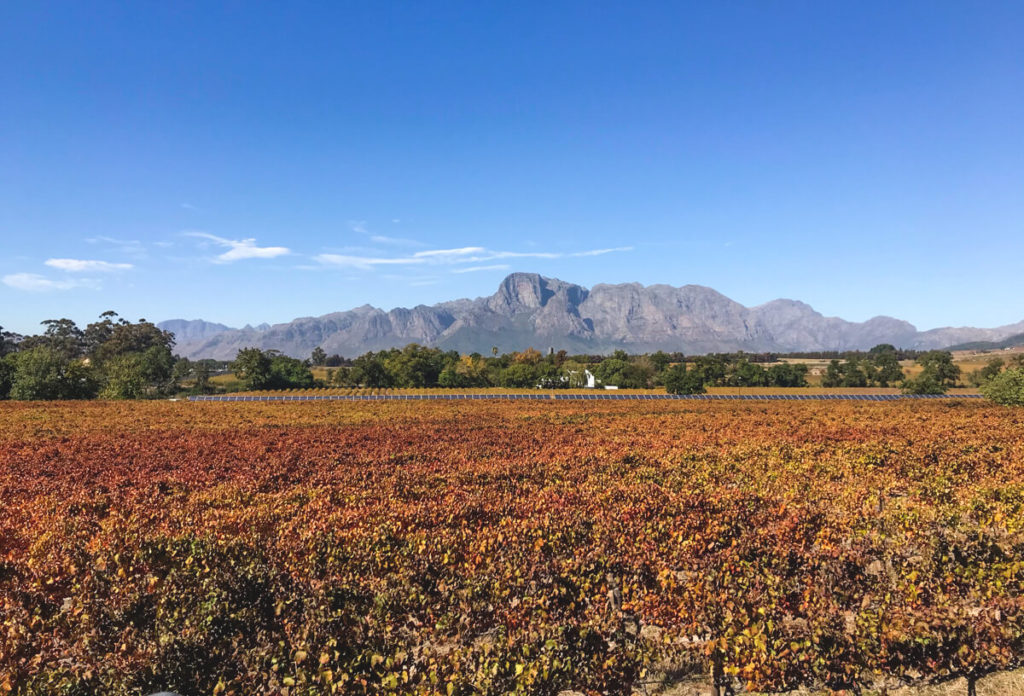 Wine-Tram-Franschhoek-Vrede-en-Lust-1
