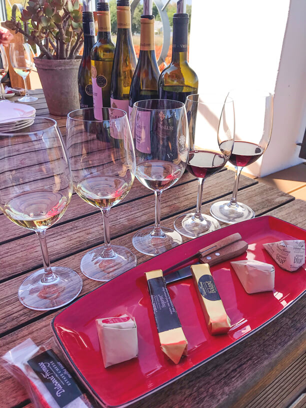 Wine-Tram-Franschhoek-Vrede-en-Lust-2