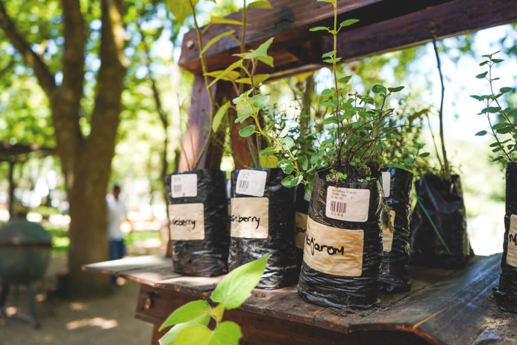 Winelands-suedafrika-boschendal-kraeutergarten