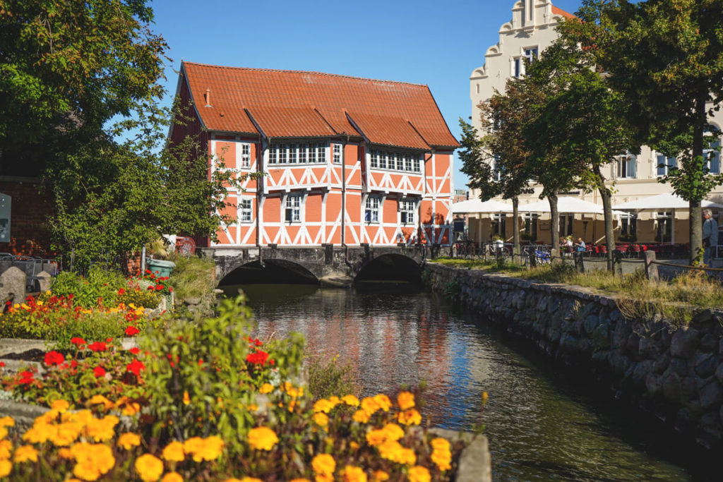Wismar-Rote-Haus-Grube-Gewoelbe