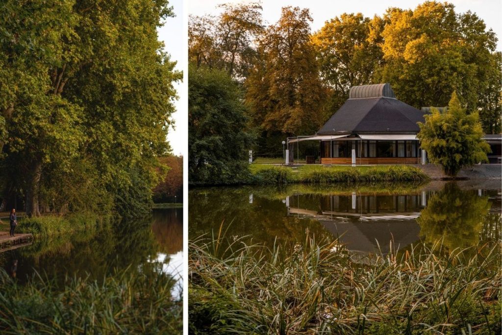 Wochenende-in-Stuttgart-Schlosspark-Wald