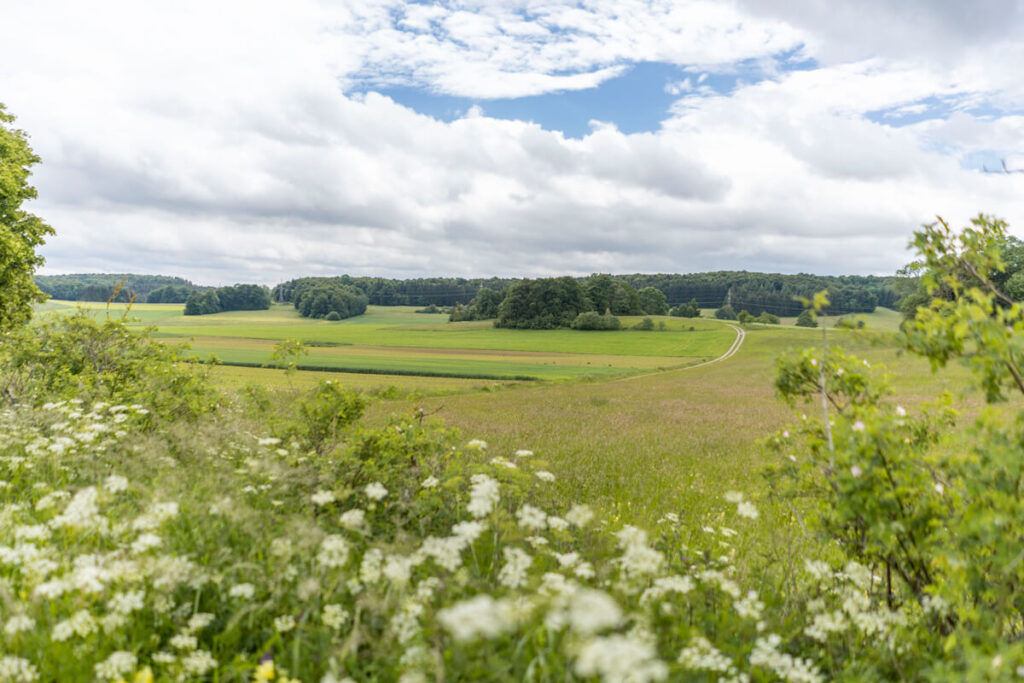 Württemberg Valley Cycle Route Stage 5