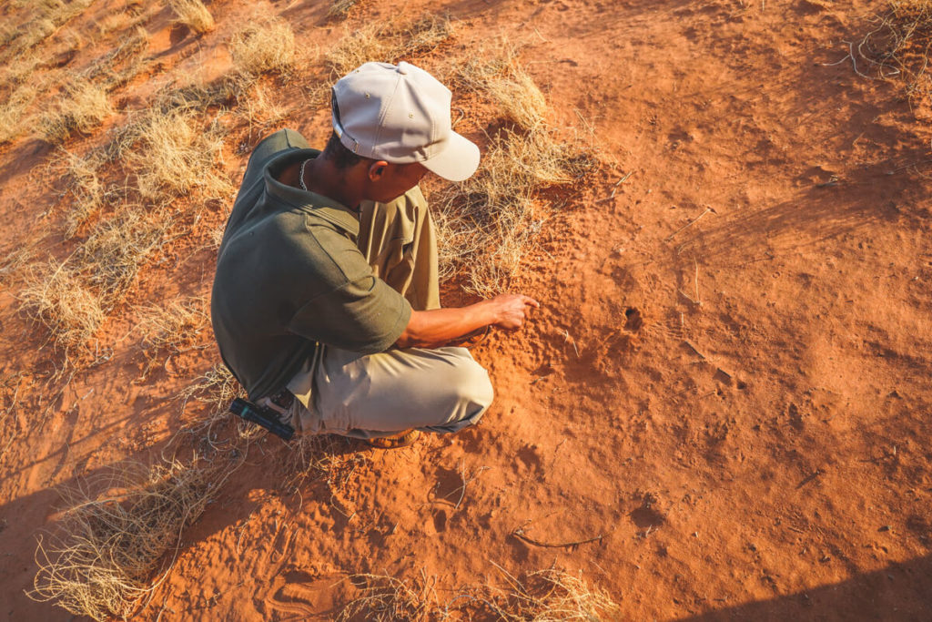Xaus-Lodge-Morning-Bush-Walk