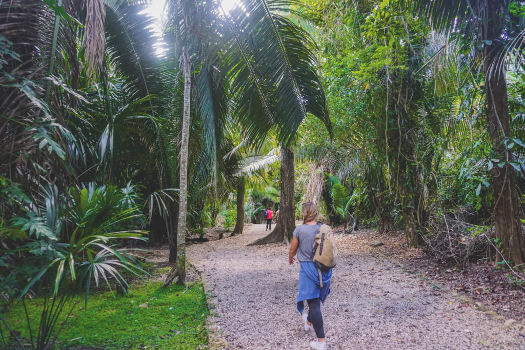Lamanai Ruins Belize