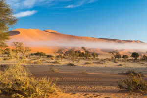 beste Reisezeit Namibia