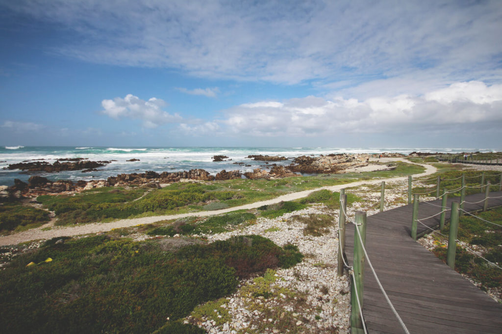 cape-agulhas-nationalpark-trail-suedafrika