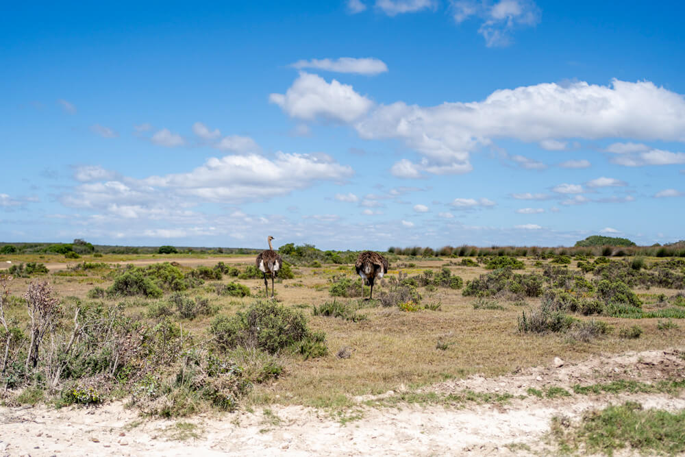 De Hoop Nature Reserve in South Africa