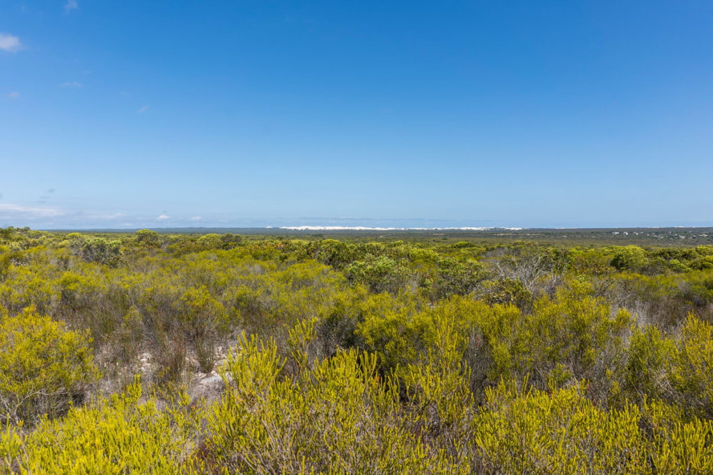 De Hoop Nature Reserve in South Africa