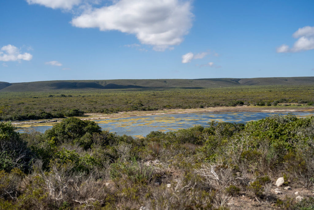 De Hoop Vlei Wetland