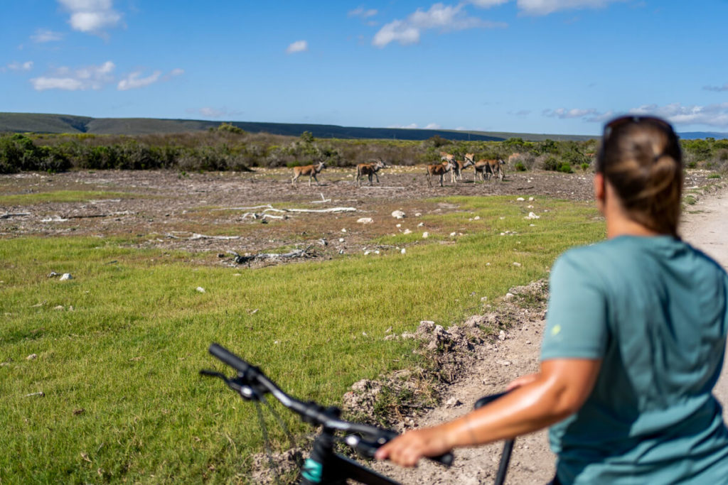 De Hoop Nature Reserve in South Africa