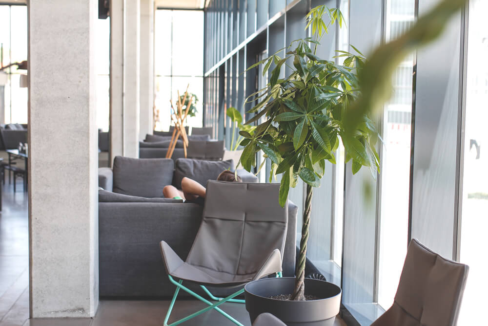dock-inn-warnemuende-container-hostel-lobby