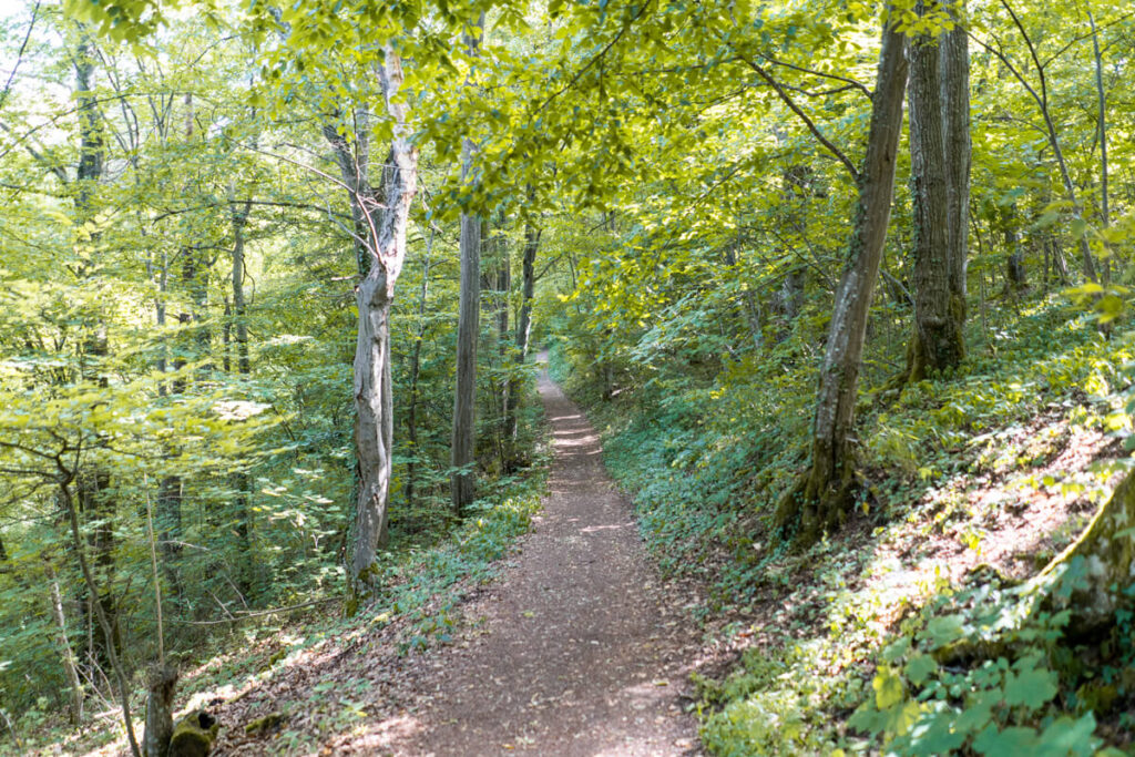 Eichstätt Panoramaweg