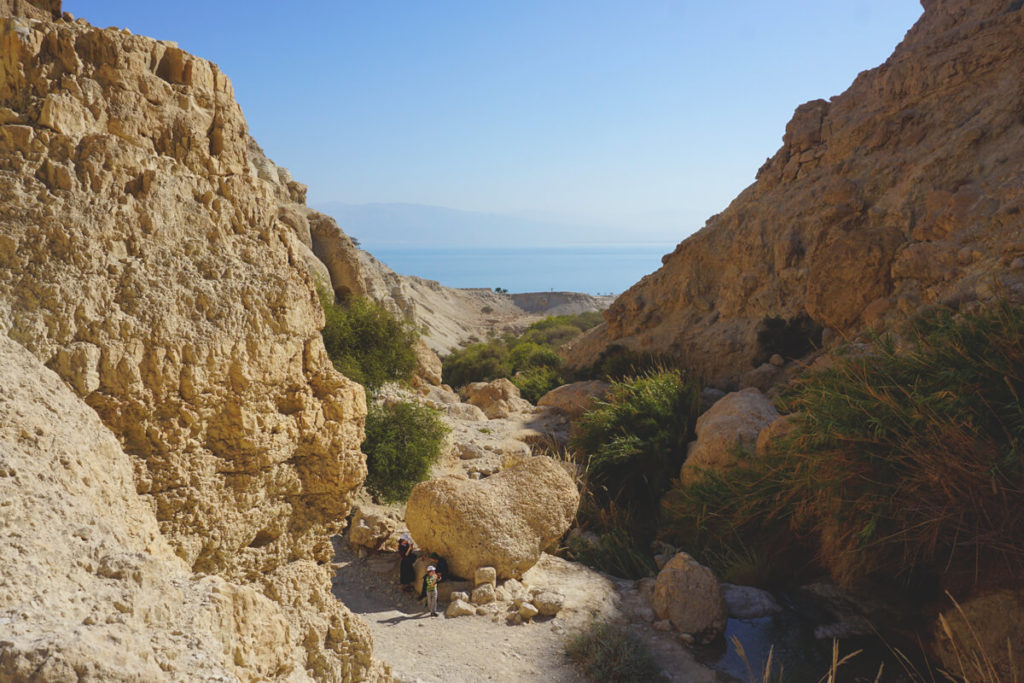 en-gedi-nationalpark-totes-meer-israel