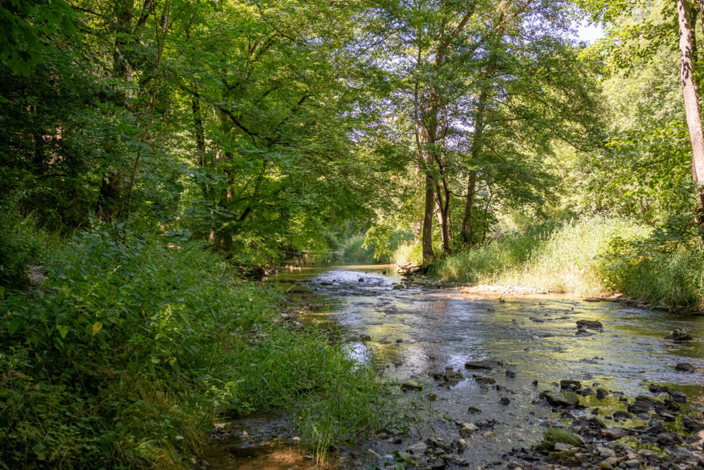 freiraum-baden-wuerttemberg-buehlertalwanderweg-unteres-buehlertal_1-Kopie