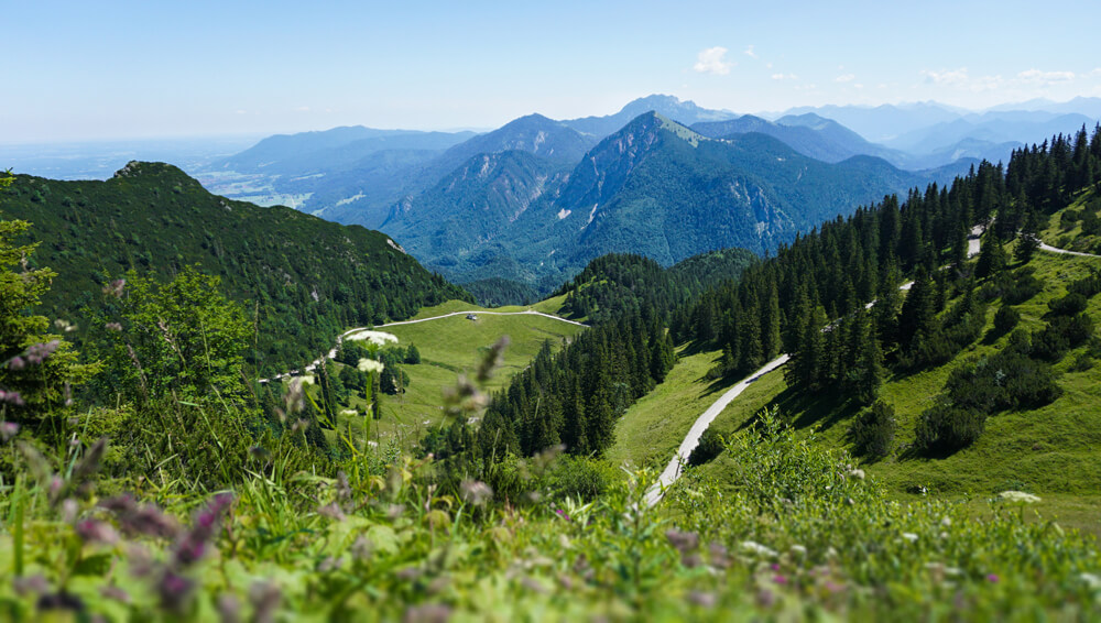 herzogstand-wandern-alpen-walchensee-walchen-heimgarten
